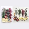 Decorative Flowers Dried Immortal Material Package DIY Aroma Valentine's Day Mother's Gift