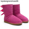 Новые дизайнерские ботинки, тапочки, женские тапочки на платформе, модный бренд, классические зимние ботинки до щиколотки, короткие мини-меховые черные каштаново-розовые женские туфли Boot