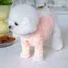 Vestuário para cães Outono Inverno Casa Doce Cor Basecoat T-shirt Casaco Manga Longa Top Fashion Pet Roupas Fábrica para Cães Pequenos