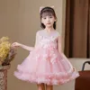 Robes de fille Bébé Filles Dentelle Princesse Tutu Robe De Mariage Baptême Robe En Maille Filles Vêtements Pour Enfants Parti Porter 2 Couleur 4-9T