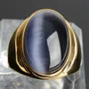 Band Rings 18k Gold Color Women Ring Stainless Steel Jewelry with Large Cat Eye Stone Tarnish Free Men Accessories Male High Quality 231219