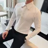 Chemises habillées pour hommes Marque Décolleté en métal Chemise à manches longues Casual Business Slim Fit Social Party Banquet Tuxedo Blouse