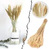 Decorative Flowers 50PCS Dried Wheat Ear Flower Natural For Wedding Party Decoration DIY Craft Outdoor Artificial