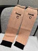 Socks 2024 early spring new products fashionable small fragrance elastic warm wear positioning logo color matching versatile pile of socks