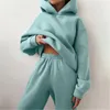 Tracksuits Women's track and field uniform hoodie casual solid long sleeved wool warm hoodie sportswear hoodie zippered pants two-piece set 231219