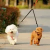 Hundhalsar går två koppelkopplare nylon dubbel tvilling som går för 2 små hundar sätt dubbla husdjur valp katt leads
