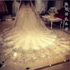 Wedding Hair Jewelry 3 5 Meters Long Cathedral Train Veil Chic Lace Bridal Appliques Edge Accessoriess Custom made 231219