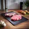シャープナーシャープナーキッチンデフロスト肉冷凍食品安全ツール高品質ホット高速解凍トレイプレート解凍10 PCS