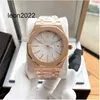 AP Saatler Erkekler Hareketi AP Simple Style En İyi Brand Hollwatches Lüks Top Saat Otomatik Mekanik Klasik Sapphire Montre De Su Geçirmez