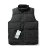 Gilet in piumino Autunno/Inverno 2023! Stesso stile per le coppie! Un must per gli hipster. Tutto va con esso