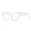 Okulary przeciwsłoneczne R56294 Ożyściowe kocie oko plastikowe okulary czytania dla kobiet okulary na receptę okulary z 1,5 2.0