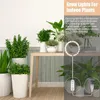 Luzes de cultivo para plantas de interior 3W LED luz de planta com temporizador lâmpada de mesa de espectro completo suculentas em vasos