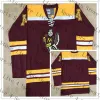 Özel Erkekler Minnesota Gophers Hokey Jersey Phil Kessel Blake Wheeler Ben Meyers Matthew Knies Blake McLaughlin Jackson Lacombe Sammy Walker