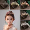 Hair Accessories Flower Leaf Comb Wedding Jewelry Rhinestone Hoop Princess Crystal Tiaras Bridal