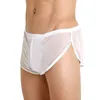 Calzoncillos para hombre Sexy Mesh Sheer Boxers Color sólido Calzoncillos transparentes Sin costuras Íntimos Tangas Suave Cómodo Bulge Bolsa Calzoncillos Masculino