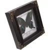 Frames po -display houder diy frame home decor handgemaakte specimen vlinders insectenwandhangen