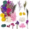 Dekorativa blommor DIY Torkat blommatmaterialpaket Mixt Lämpligt för nybörjare Multifunktion Multifunktion