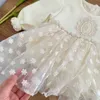 Girl's Dresses Bebe Baby Flower Dress 0-2 Years Old Spring New Baby Lace Dress Infant Newborn Dress Infant Girl Clothes