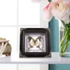 Frames po -display houder diy frame home decor handgemaakte specimen vlinders insectenwandhangen