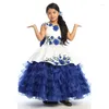 Meisjesjurken Blue Mini Quinceanera Ball Jurk V-Neck Organza Appliques Bloem voor bruiloften Mexicaanse optocht Baby