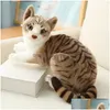 Puppen 26/30/40 cm Nette Echte Plüsch Katzen Puppe Gefüllte Liegende Katze Spielzeug Für Kinder Baby Kinder Geburtstag Geschenk Hause Dekoration 220418 D Dhysy