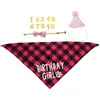 Costumes pour chat, collier pour petit chien, chapeau d'anniversaire, bavoirs pour animaux de compagnie, Kit de décoration, tenue en Polyester, Bandana Portable résistant à l'usure