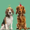 Vêtements pour chiens Chapeau de paille pour animaux de compagnie Chaîne réglable Décoratif Léger Pastèque Chiot Chapeaux Accessoires
