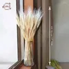 装飾的な花白い乾燥小麦の茎