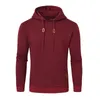 Heren Hoodies Sweatshirts Heren Herfst Casual Lange mouw Trekkoord Sweatshirt Trainingspak Capuchon Street chic met geruite jacquard 231218