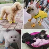 Abbigliamento per cani 4 pezzi Scarpe estive traspiranti Cuccioli Sandali in morbida rete Scarpe da ginnastica antiscivolo per animali domestici Camminate Correre Accessori carini all'aperto