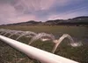 Cintura d'acqua per irrigazione con irrigatore ad alta pressione in PVC all'ingrosso di fabbrica di tela cerata cintura d'acqua per siccità