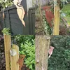 Decorações de jardim elegante pássaro enferrujado metal silhueta estaca design pilated quintal decoração gramado árvore decoração suprimentos