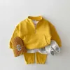 Pullover 2 zestaw Zestaw ubrania dla niemowląt Dziewczyna Dziewczyna Chłopiec Bawełna bluza +spodnie Dwukierunkowe Dzieci Kuit Ubrania Sprężyna i Autumn L23121511