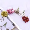 Decorative Flowers 100/200pcs Glitter Foam Fruit Stamens Cherry Artificial Flower Berries For Wedding Christmas Party Gift Box Deco DIY Hand