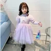 Flickas klänningar höstblomma festklänningar för tjej puffy ruffle klänning eleganta barns koreanska prinsessa plysch frocks små flickor kläder