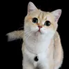 Collana per gatti Accessori per animali domestici Burattino per collo Gatto Gattino Collare per animali domestici 230908