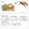 3D Puzzles Piececool Metal Puzzle Scarlet Macaw With Acrylic Stand DIY Model Kits Montering Jigsaw Toy Desktop Decoration Gift for Adult 231219