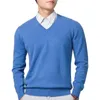 Pulls pour hommes Pull Touchant la peau Hommes légers Col V Couleur Solide Slim Fit Tricots Pull épais pour l'automne