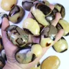 Decorative Figurines 5 RARE Natural Polished DRAGON SEPTARIAN Geode Crystal Palm Stone From Madagascar 650g