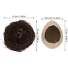 Ciotole Budino Tazza Ciotola Decor Guscio d'uovo incrinato Fioriera succulenta Ceramica per l'organizzazione