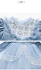 Mädchenkleider Girl's Winterkleid Plüsch Samt dicke blaue Geburtstag Prinzessin Koreanische kleine Mädchen Langarmiertes Western Mesh Kleid