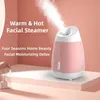 Gezichtsverzorgingsapparaten Steamer Spray Mist Home Sauna SPA Schoonheidsinstrument Hydraterende huid 231219