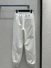 Due pantaloni 2024 Nuova primavera colletto alla coreana manica lunga tute da donna stampa top marca stesso stile designer set da 2 pezzi
