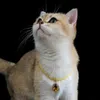 Kedi Kolye Pet Aksesuarları Boyun Kukla Kedi Yavru Kedi Pet Yakası Pet 230908