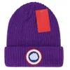 カナダゴース帽子17カラーデザイナーファッションビーニーカナダアークティックディスクリブリブトックハットニットウールハット暖かい風のない細い穀物の固体色のビーニー