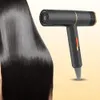 Sèche-cheveux électrique 800 W, souffleur puissant, vent frais, Salon professionnel pour les soins, 231220