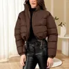 Women's Jackets Winter Coats Cropped Puffer Zip Up Stand Collar Pockets Leather Casual For Women Fall Vests