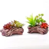 Dekoratif çiçekler simüle etli bitki zümrüt kraliyet brokar süs bonsai renk yapay saksı