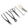 Beskärningsverktyg 5st Bonsai Tool Set Kit Carbon Steel Scissors Rake Branch Cutter Shears Pleys Garden Home 231219