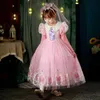 Girl's Dresses Long Hair Princess Dress Summer and Autumn Pink Girl Birthday Sofia Role Playing Velvet Formal Princess Long Dress 2-10 Years Old